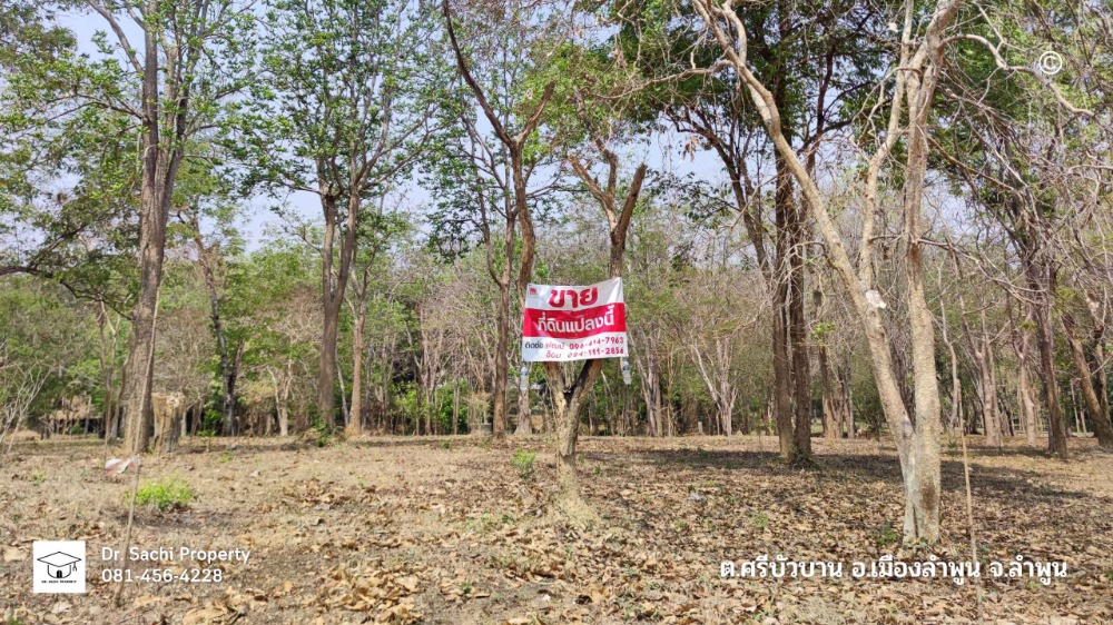 Land for sale near Lamphun Government Center (new location) 1-2-82.8 rai, good atmosphere, vacation home style