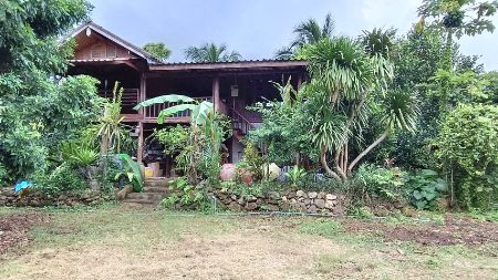 ขาย ที่ดิน บ้านสวนปาล์ม 21 ไร่ 48 ตร.วา ใกล้แม่น้ำแควน้อย ติดถนน บ้านแก่งจอ อ.ไทรโยค กาญจนบุรี – รูปที่ 3