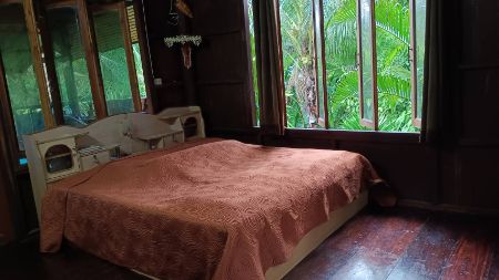 ขาย ที่ดิน บ้านสวนปาล์ม 21 ไร่ 48 ตร.วา ใกล้แม่น้ำแควน้อย ติดถนน บ้านแก่งจอ อ.ไทรโยค กาญจนบุรี – รูปที่ 4