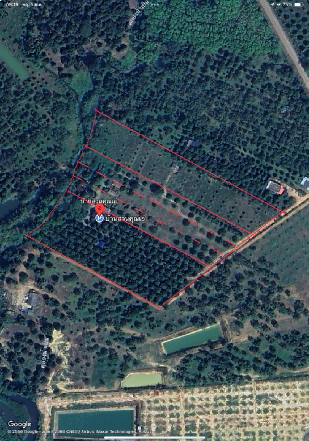 Fruit orchard land for sale, durian, mangosteen with 5 vacation homes, Rayong Province. Fruit orchard land for sale, durian, mangosteen with 5 vacation homes, Rayong Province.