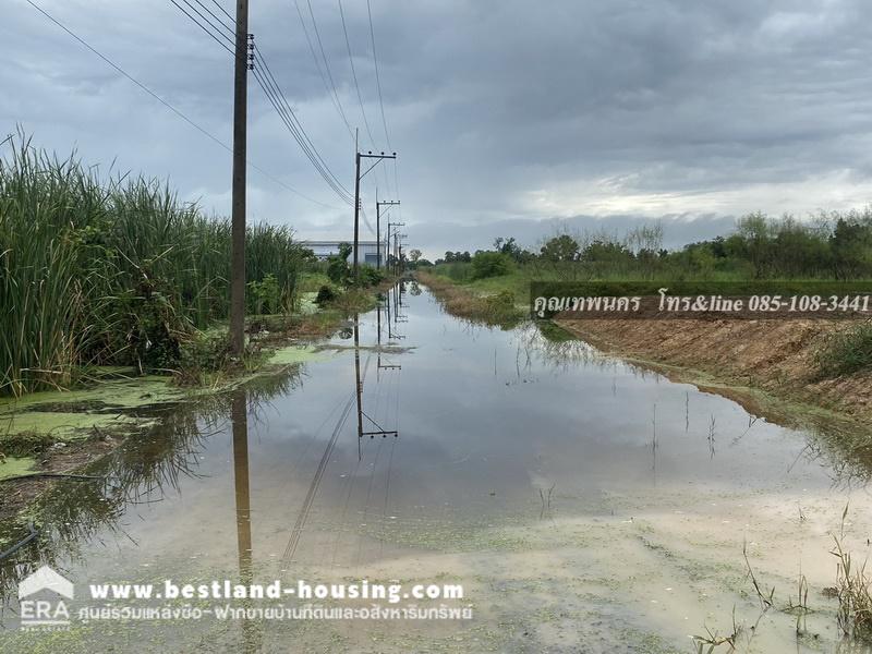 ที่ดินเปล่า คลอง10 รังสิต นครนายก จาก 3261 ถึงแปลง 500 เมตร ขายเท่าราคาประเมิน – รูปที่ 3