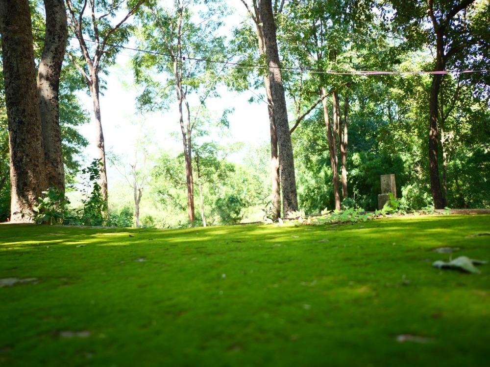 ที่ดินเนินเขา อ.มวกเหล็ก จ.สระบุรี, สระบุรี