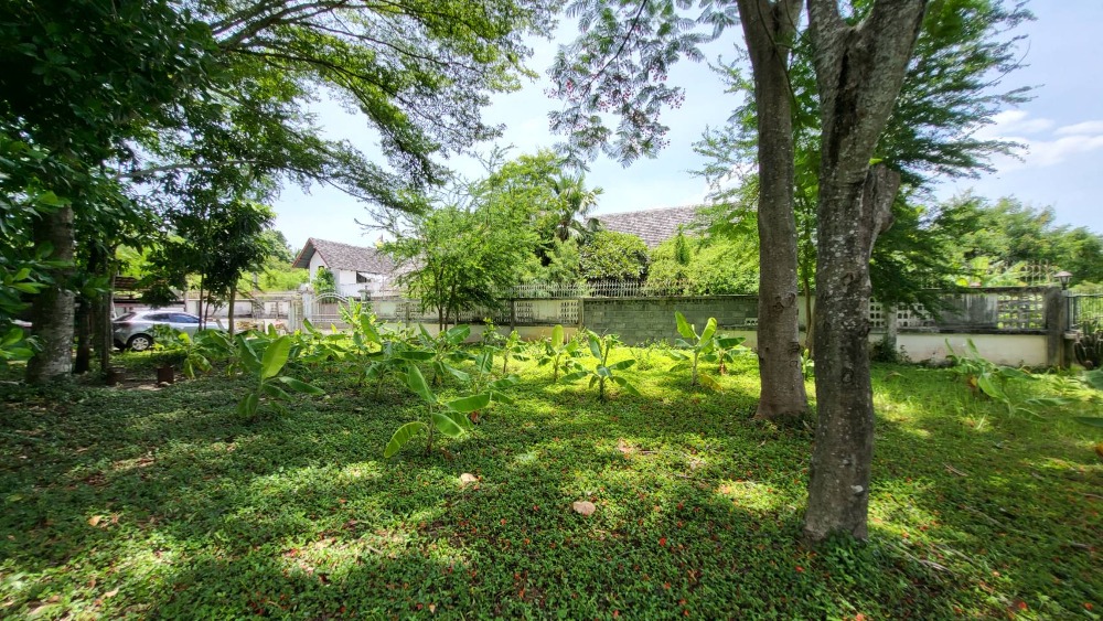 Land for sale in Soi Phetkasem 64, Soi 10 intersection, Bang Khae. – รูปที่ 3