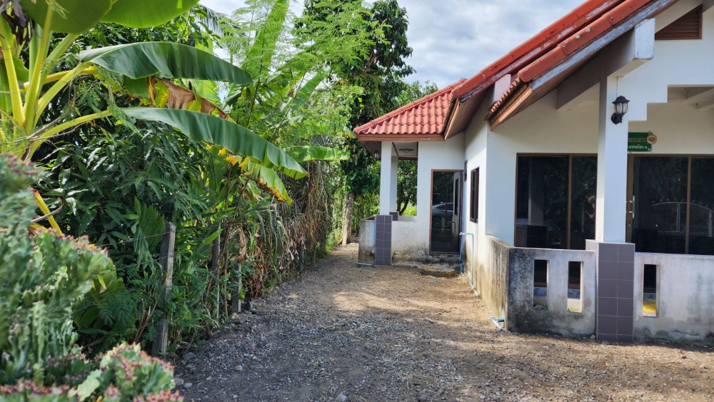บ้านพักอาศัยชั้นเดียว 2 ห้องนอน 2 ห้องน้ำ อำเภอระโนด จังหวัดสงขลา – รูปที่ 2