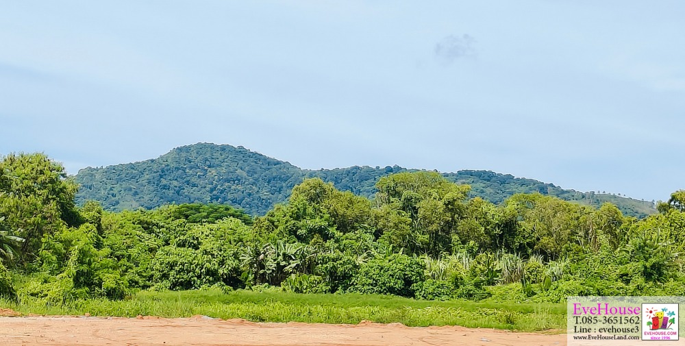 Land for sale on Wiset Road Rawai, Mueang District, Phuket. Land size 15 Rai Very wide front. Suitable for large projects – รูปที่ 2