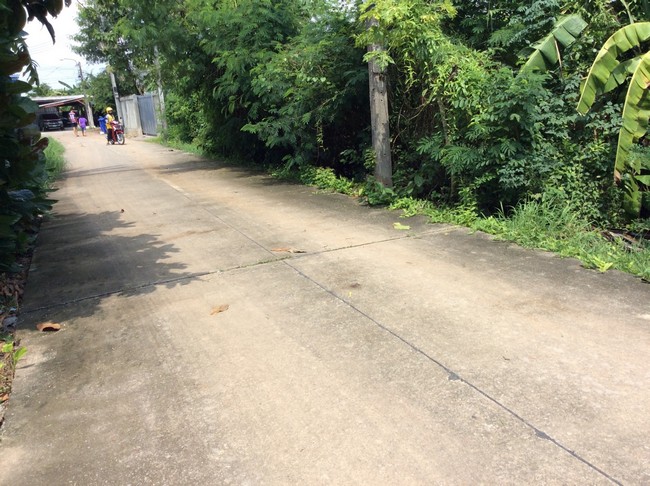 sss433 ขาย ที่ดินเปล่า เพชรหึงษ์ สมุทรปราการ LINE :  @956uovqp – รูปที่ 2