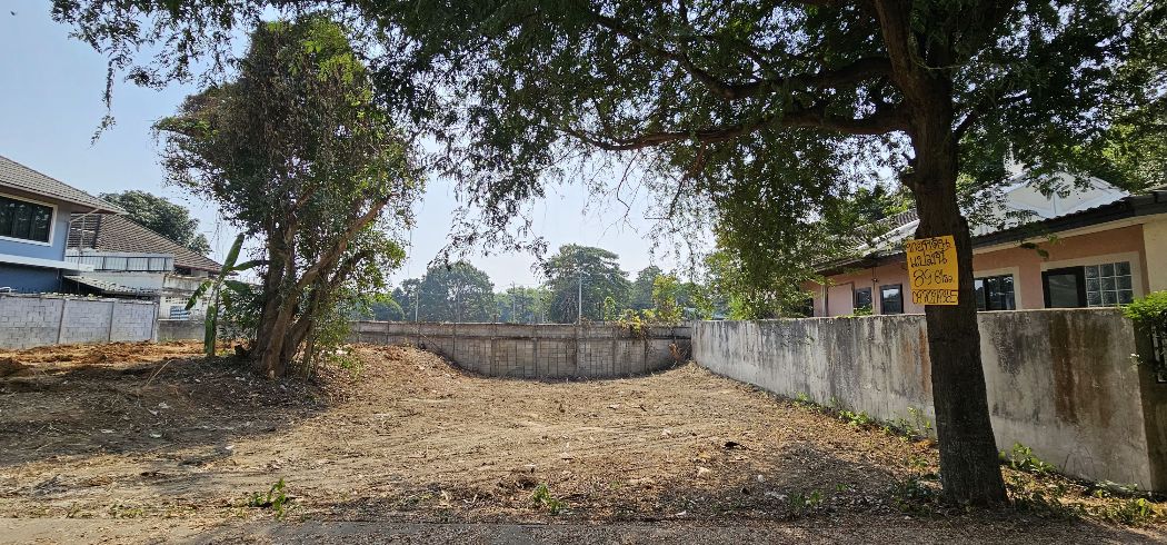 ขาย ที่ดิน หมู่บ้านพิงค์พยอม 89 ตร.วา วิวดอยสุเทพ เทศบาลนครเชียงใหม่ – รูปที่ 3