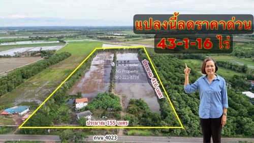 ขายที่ดินบางคล้า สี่เหลี่ยมสวย ติดถนนทางหลวงชนบท 4023 หน้ากว้างถึง 155 เมตร