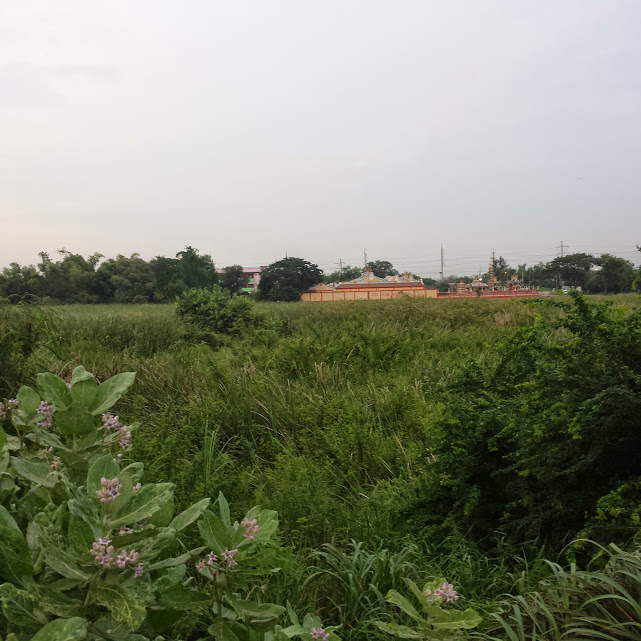 Land for sale, 36 rai, next to Phahonyothin Road. Near Nong Khae Hospital, Nong Khae District, Saraburi Province – รูปที่ 3