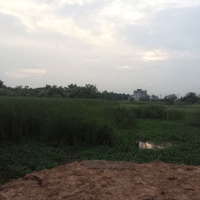 Land for sale, 36 rai, next to Phahonyothin Road. Near Nong Khae Hospital, Nong Khae District, Saraburi Province – รูปที่ 4