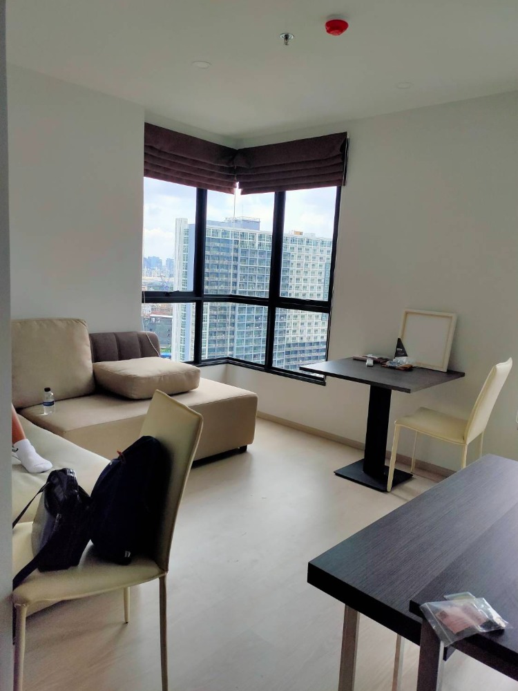 ขายพร้อมผู้เช่า แบบ 1 BR Plus วิวสระ ที่ เอลลิโอ เดล เนสท์ สุขุมวิท 103 ขายพร้อมผู้เช่า แบบ 1 BR Plus วิวสระ ที่ เอลลิโอ เดล เนสท์ สุขุมวิท 103