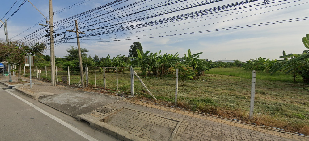 ขายที่ดินติดถนนลาดกระบัง สนามบินสุวรรณภูมิ แปลงใหญ่สวย ติดถนน 3 ด้าน ขายที่ดินติดถนนลาดกระบัง สนามบินสุวรรณภูมิ แปลงใหญ่สวย ติดถนน 3 ด้าน