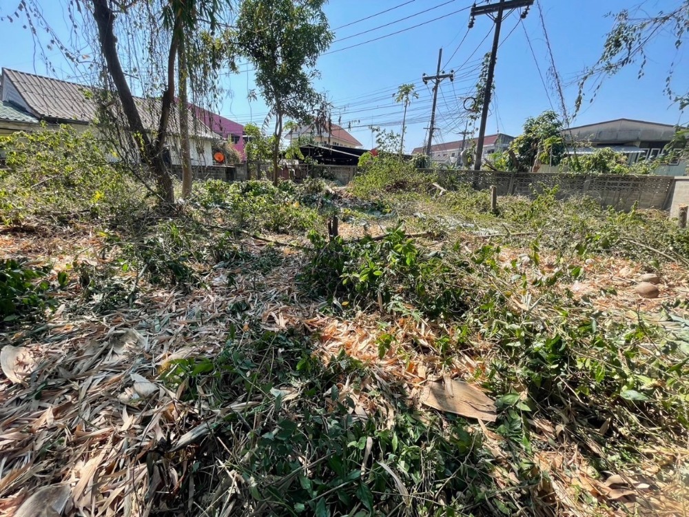 Urgent sale, land in Mueang District, Chiang Rai Province, area 187 square wah, price 5 million baht (negotiable,  sells it himself) – รูปที่ 3