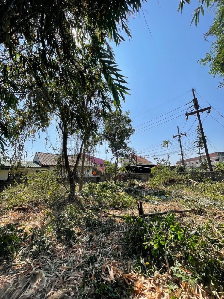 Urgent sale, land in Mueang District, Chiang Rai Province, area 187 square wah, price 5 million baht (negotiable,  sells it himself) – รูปที่ 2
