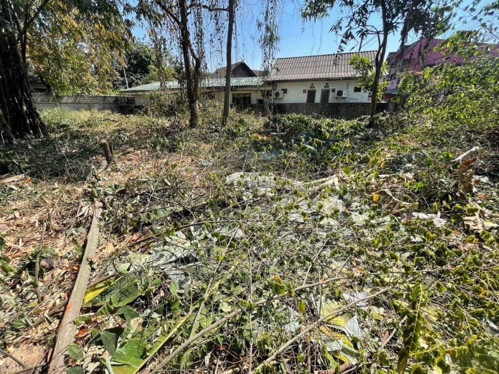 Urgent sale, land in Mueang District, Chiang Rai Province, area 187 square wah, price 5 million baht (negotiable,  sells it himself) – รูปที่ 4