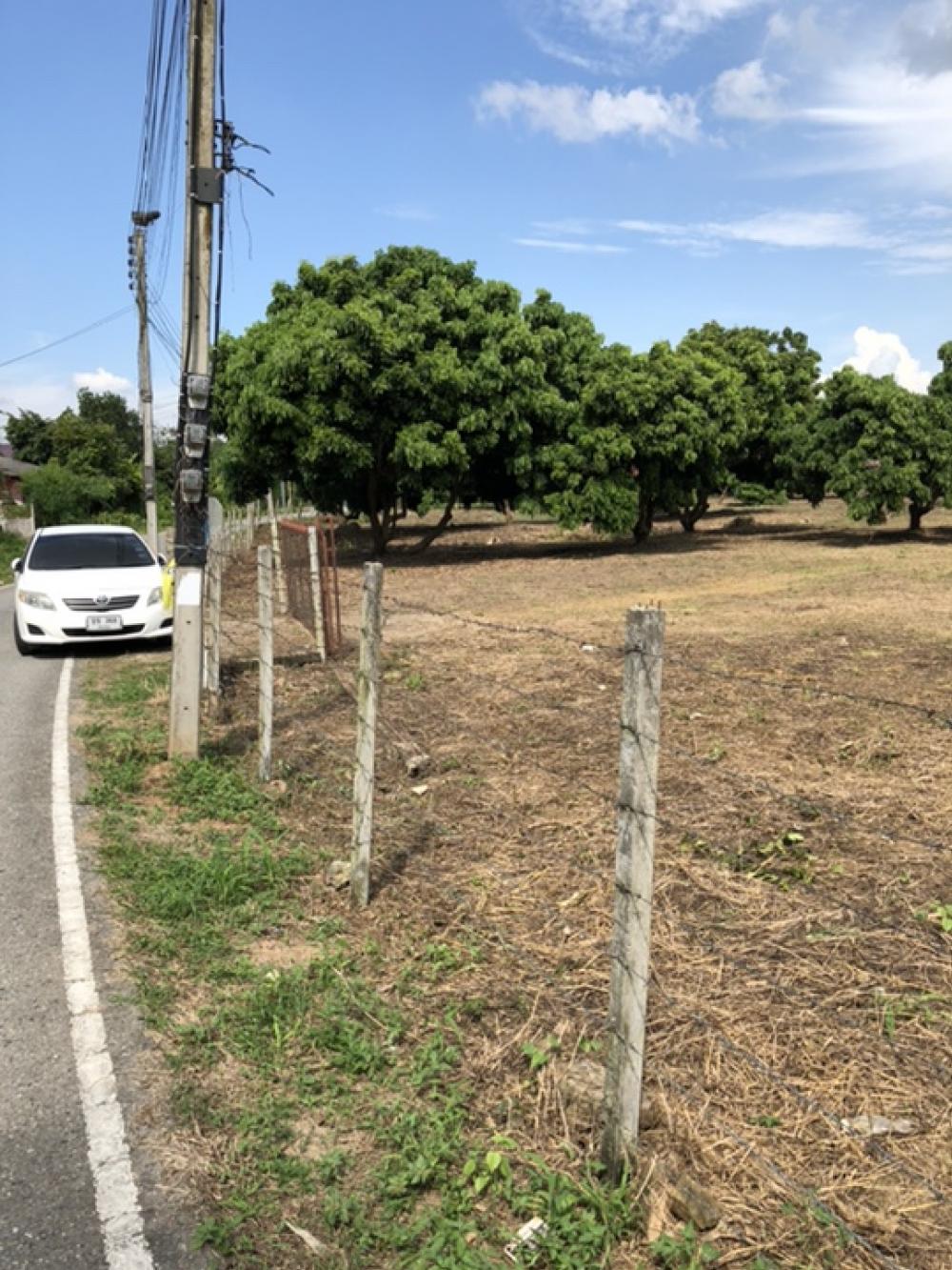 Land for sale in Saraphi District, Chiang Mai Province, 8 rai, price 2.6 million baht per rai. Land for sale in Saraphi District, Chiang Mai Province, 8 rai, price 2.6 million baht per rai.