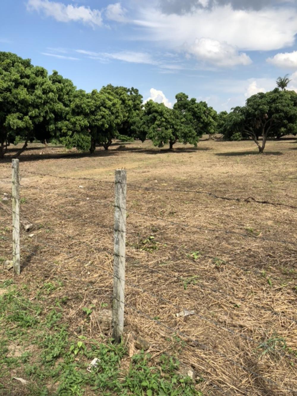 Land for sale in Saraphi District, Chiang Mai Province, 8 rai, price 2.6 million baht per rai. – รูปที่ 2