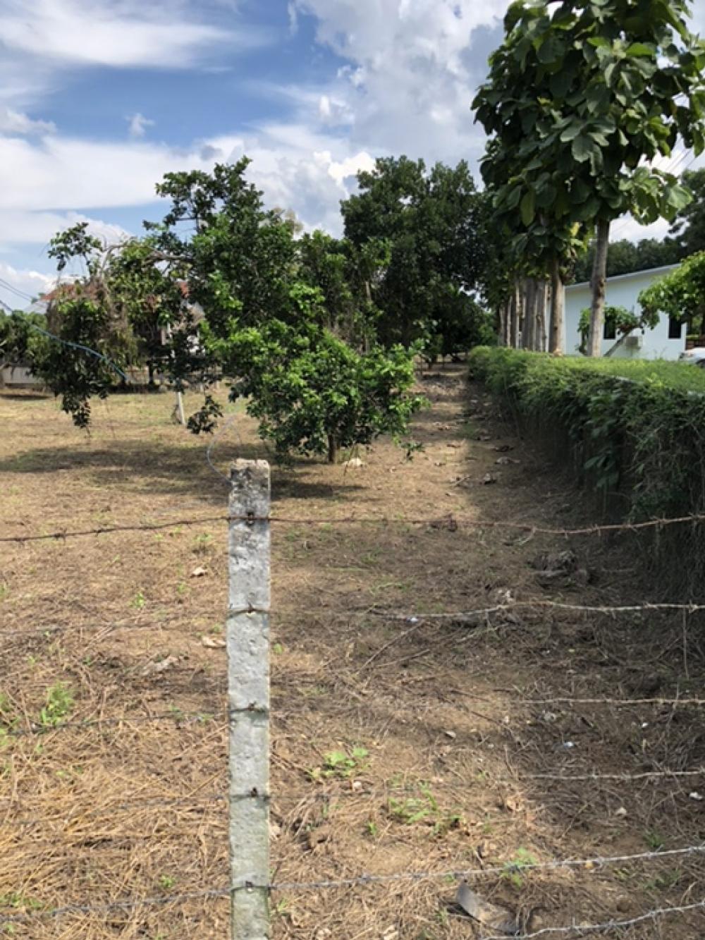 Land for sale in Saraphi District, Chiang Mai Province, 8 rai, price 2.6 million baht per rai. – รูปที่ 4
