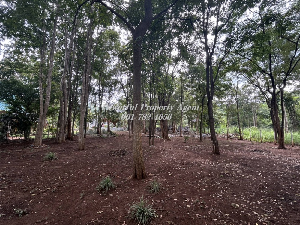 ขายที่ดินเขาใหญ่ วิวภูเขาล้อมรอบ ใกล้สถานที่ท่องเที่ยว ถนนมอเตอร์เวย์ บางปะอิน-โคราช – รูปที่ 3