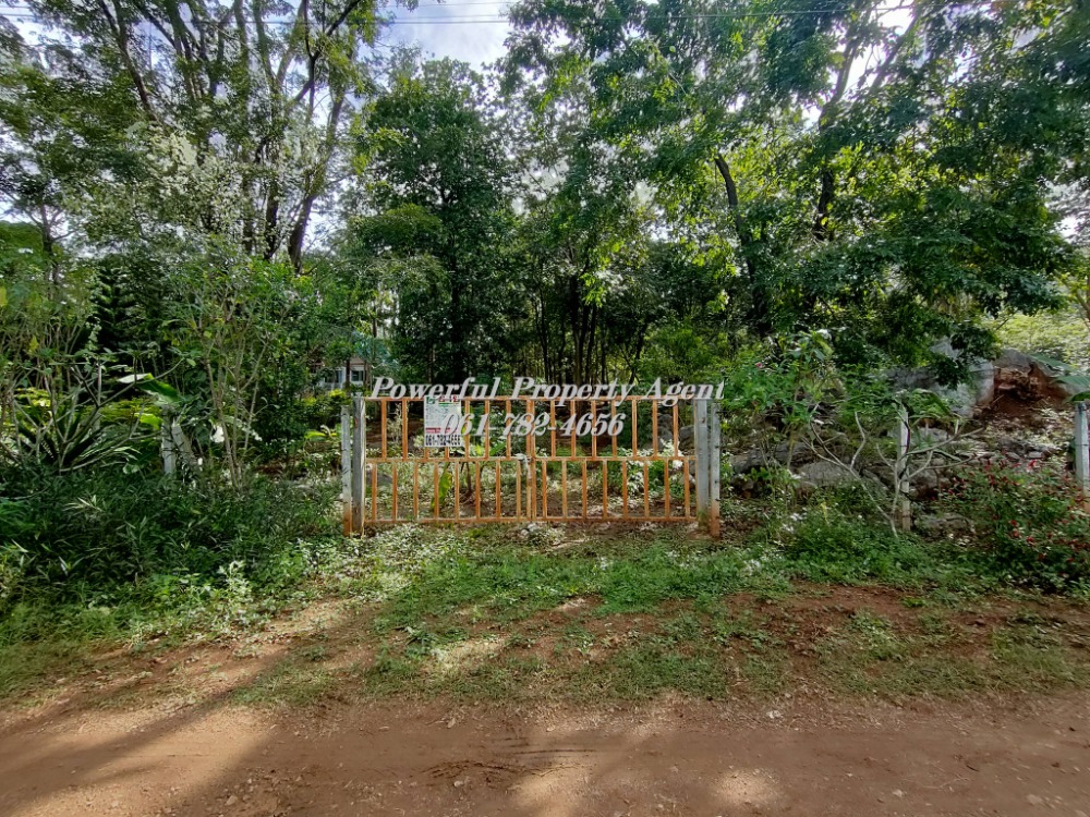 ขายที่ดินเขาใหญ่ วิวภูเขาล้อมรอบ ใกล้สถานที่ท่องเที่ยว ถนนมอเตอร์เวย์ บางปะอิน-โคราช – รูปที่ 2