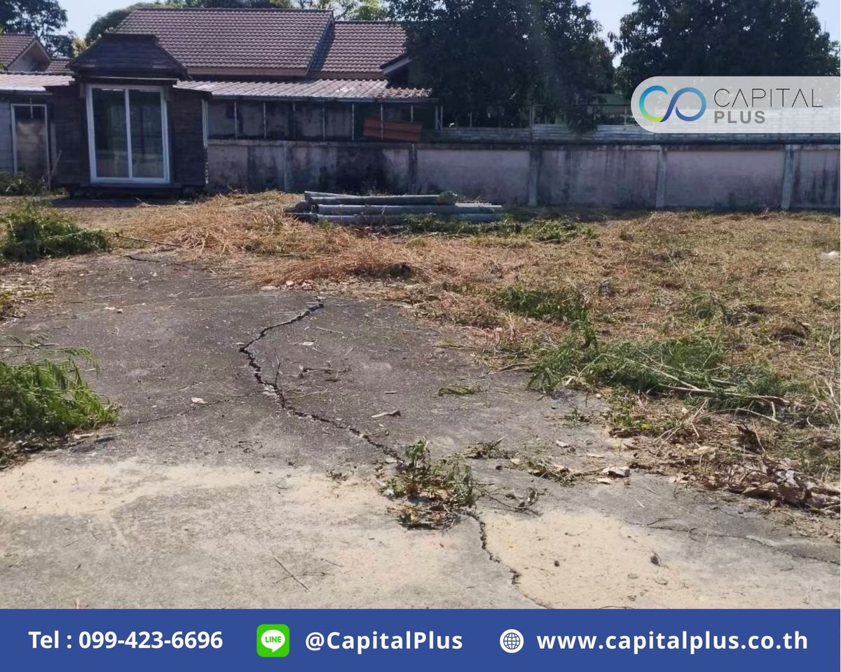 ขายที่ดินลาดหลุมแก้ว 123.1 ตร.ว ขายที่ดินหมู่บ้านวนาสิริ ขายที่ดินลาดหลุมแก้ว 123.1 ตร.ว ขายที่ดินหมู่บ้านวนาสิริ