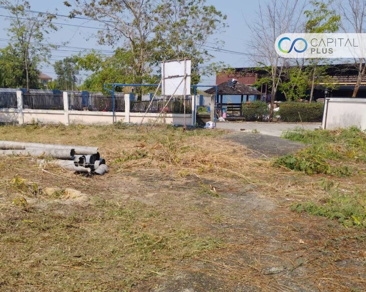ขายที่ดินลาดหลุมแก้ว 123.1 ตร.ว ขายที่ดินหมู่บ้านวนาสิริ – รูปที่ 4