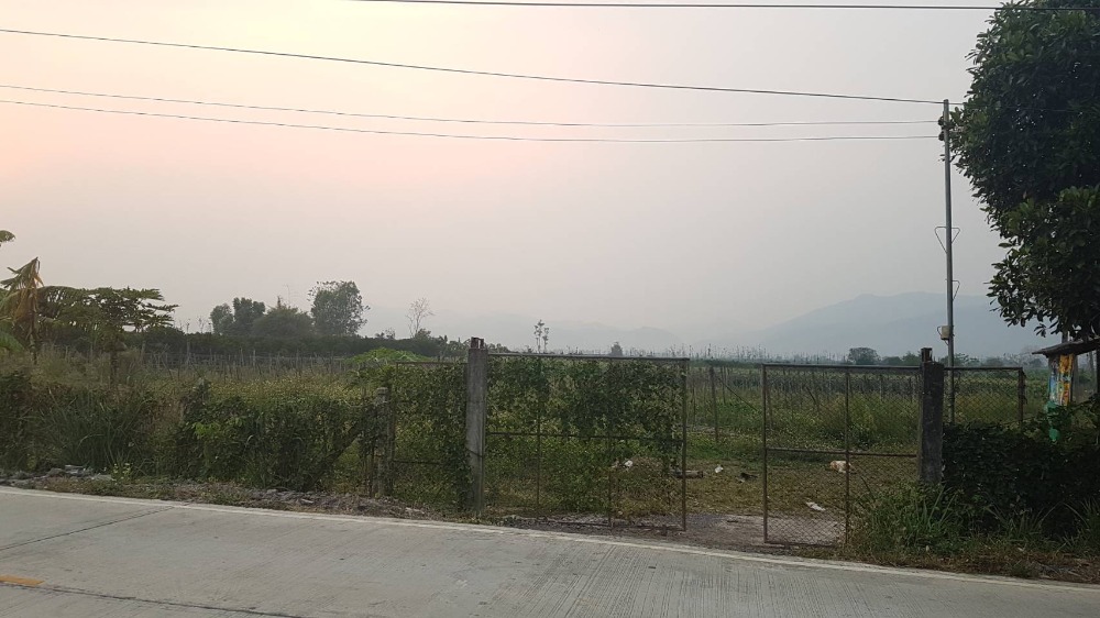 ลดราคาขายด่วน! ที่ดิน 24 ไร่ ต.แม่นาวาง อ.แม่อาย จ.เชียงใหม่ ติดถนน มีรถสองแถวผ่าน ลดราคาขายด่วน! ที่ดิน 24 ไร่ ต.แม่นาวาง อ.แม่อาย จ.เชียงใหม่ ติดถนน มีรถสองแถวผ่าน