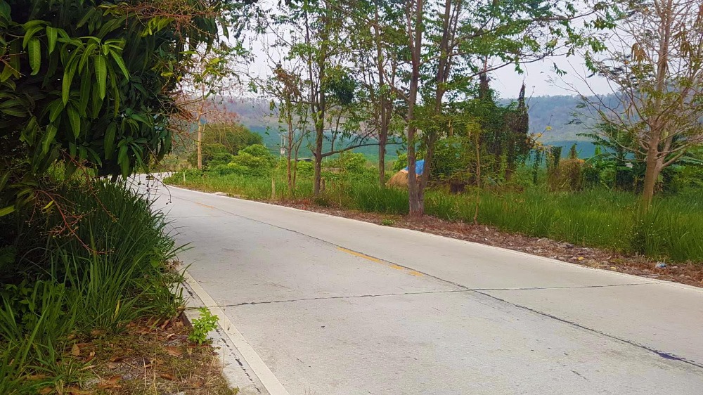 ลดราคาขายด่วน!  ที่ดิน 24 ไร่ ต.แม่นาวาง อ.แม่อาย จ.เชียงใหม่ ติดถนน มีรถสองแถวผ่าน – รูปที่ 2