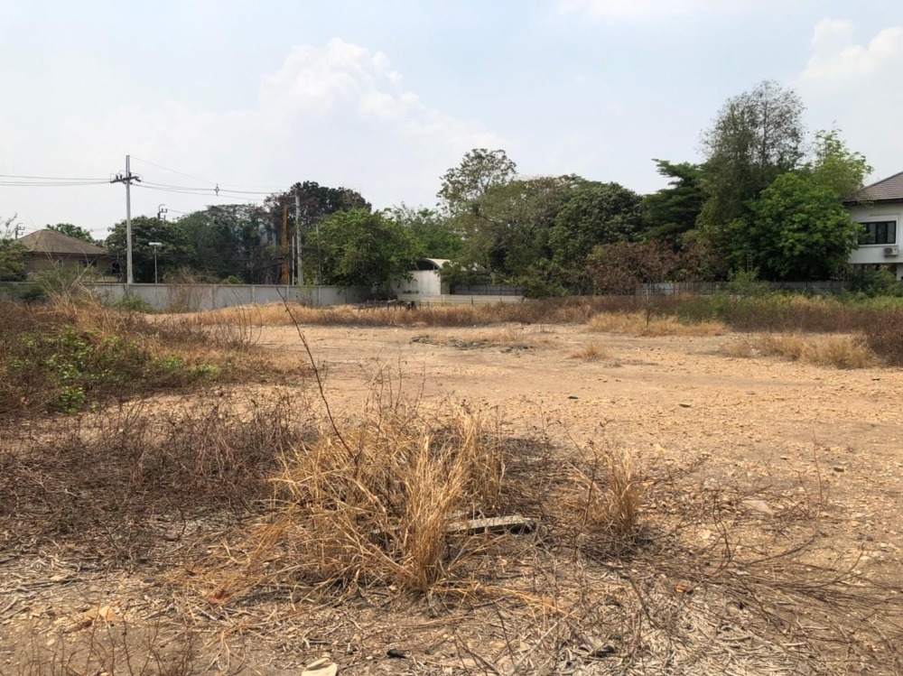 ขายที่ดินสวย ติดถ. นาวงประชาพัฒนา 3ไร่ 14.3ตรว. สรงประภา ดอนเมือง พร้อมใบอนุญาติทำปั้มน้ำมัน – รูปที่ 3