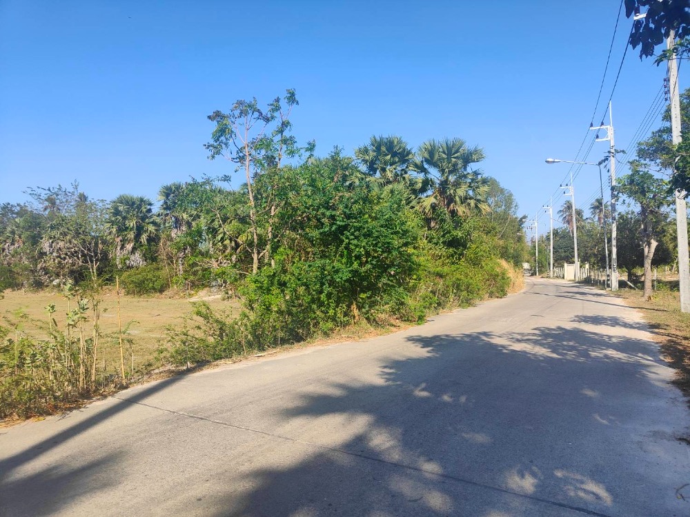Beautiful land for sale, very good view, near Cha-am market, Cha-am district, suitable for a project or pool villa. – รูปที่ 2