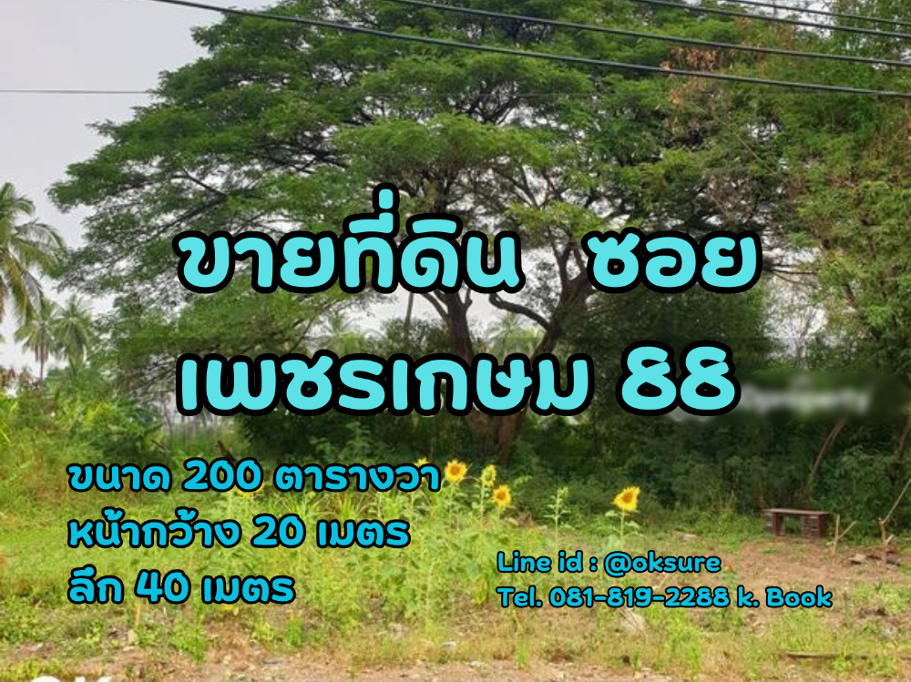 🌳ขายที่ดินสวย ซ.เพชรเกษม 88 ราคาดี เดินทางสะดวก ⭐ – รูปที่ 3