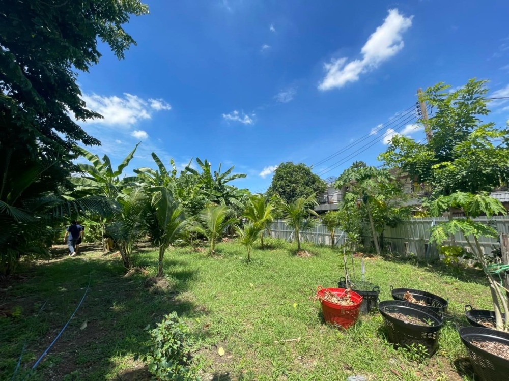 Land Ekkamai 22 : Size 3 ngan 52 square wah : Near Sri Chawala Village. – รูปที่ 3