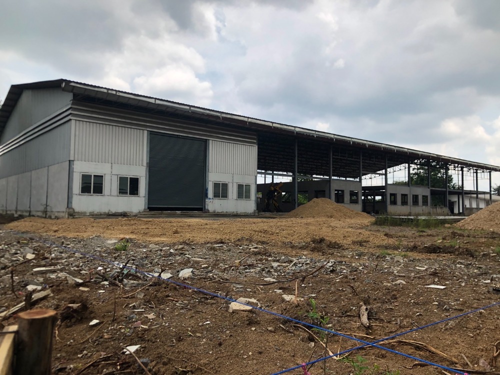 Land for rent, 10 rai, on the main road, width about 52 meters, land filled, land opposite Wat Mai, Khlong 7, near Pettosan Cat Litter Office Land for rent, 10 rai, on the main road, width about 52 meters, land filled, land opposite Wat Mai, Khlong 7, near Pettosan Cat Litter Office