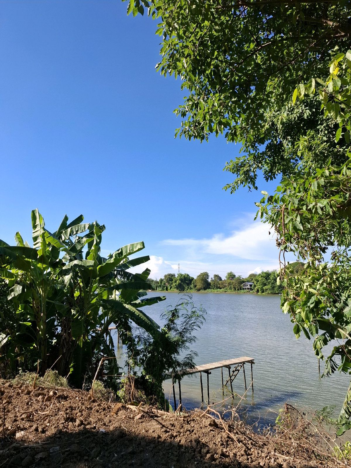ที่ดินริมแม่น้ำแม่กลอง ราชบุรี ราคาเบาๆ 7 ล้าน หน้าติดถนน หลังติดน้ำ ข้างลำคลอง ขนาด 353 ตรว