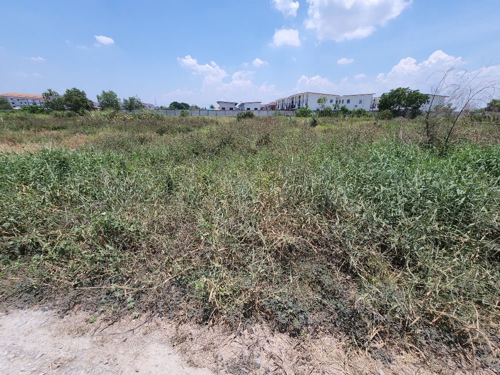 8 rai of land next to an alley road, near Lat Bua Luang Golden Land. Next to Phraya Banlue Canal, width 80 meters, next to an alley road, only 100 meters from the main road. – รูปที่ 4