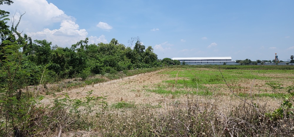 8 rai of land next to an alley road, near Lat Bua Luang Golden Land. Next to Phraya Banlue Canal, width 80 meters, next to an alley road, only 100 meters from the main road. – รูปที่ 3