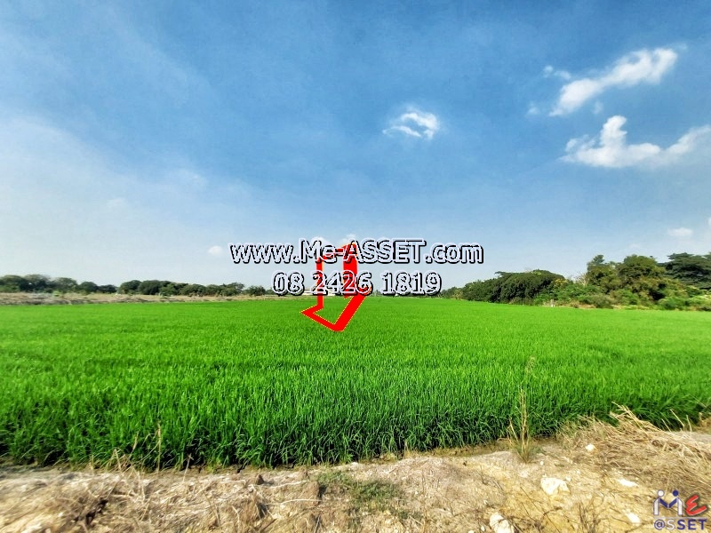 Land for sale in Dao Thong area, Lan Tak Fah, Nakhon Chai Si Nakhon Pathom: Near the village of Pruksa 4 (Lan Tak Fah): 701 sq.: Code NN-91305   – รูปที่ 4