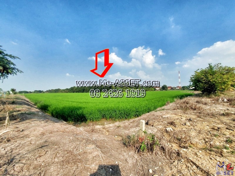 Land for sale in Dao Thong area, Lan Tak Fah, Nakhon Chai Si Nakhon Pathom: Near the village of Pruksa 4 (Lan Tak Fah): 701 sq.: Code NN-91305 Land for sale in Dao Thong area, Lan Tak Fah, Nakhon Chai Si Nakhon Pathom: Near the village of Pruksa 4 (Lan Tak Fah): 701 sq.: Code NN-91305