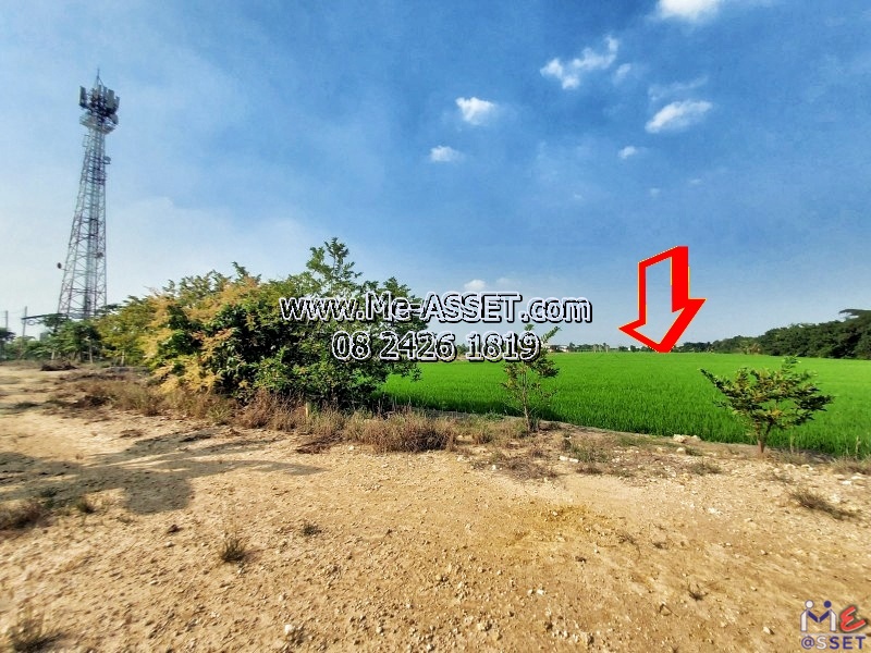 Land for sale in Dao Thong area, Lan Tak Fah, Nakhon Chai Si Nakhon Pathom: Near the village of Pruksa 4 (Lan Tak Fah): 701 sq.: Code NN-91305   – รูปที่ 2