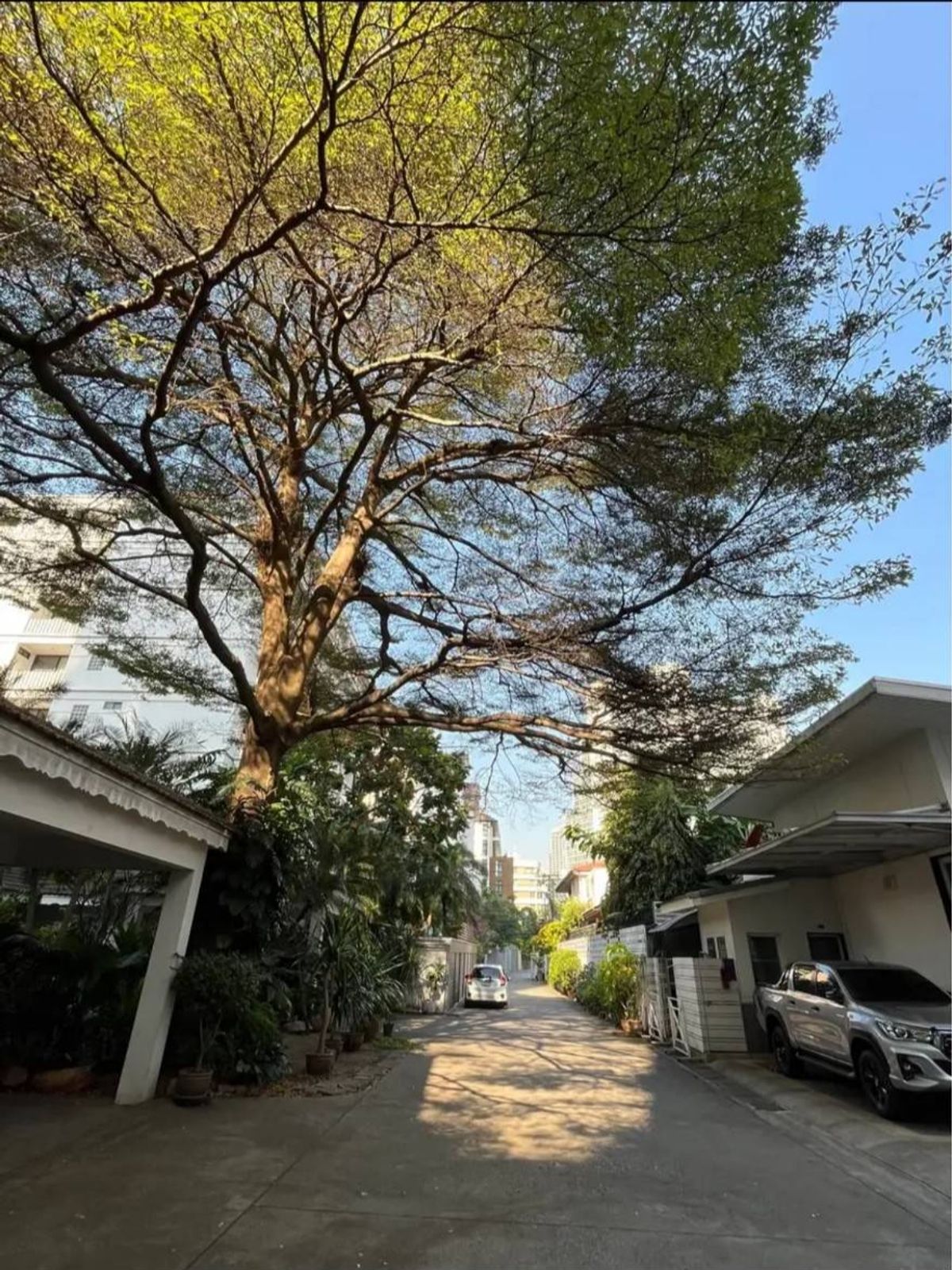 ♦ Prime Location ♦ บ้านเดี่ยว 2 ชั้น 4 ห้องนอน | ตกแต่งครบ | ติด Emporium | ใกล้ โรงแรมสกายวิวกรุงเทพสุขุมวิท 24,  โรงแรมฮิลตัน สุขุมวิท กรุงเทพ – รูปที่ 2