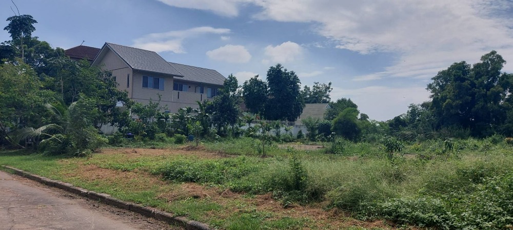 Land for sale, already filled in (back side next to canal), Mueang Ake Village, Project 3, Soi Ekarat 12 *Selling below government appraised price* Area 342 sq m, shady atmosphere, not lonely, Ek Thaksin Road, Mueang Pathum Thani District. – รูปที่ 4
