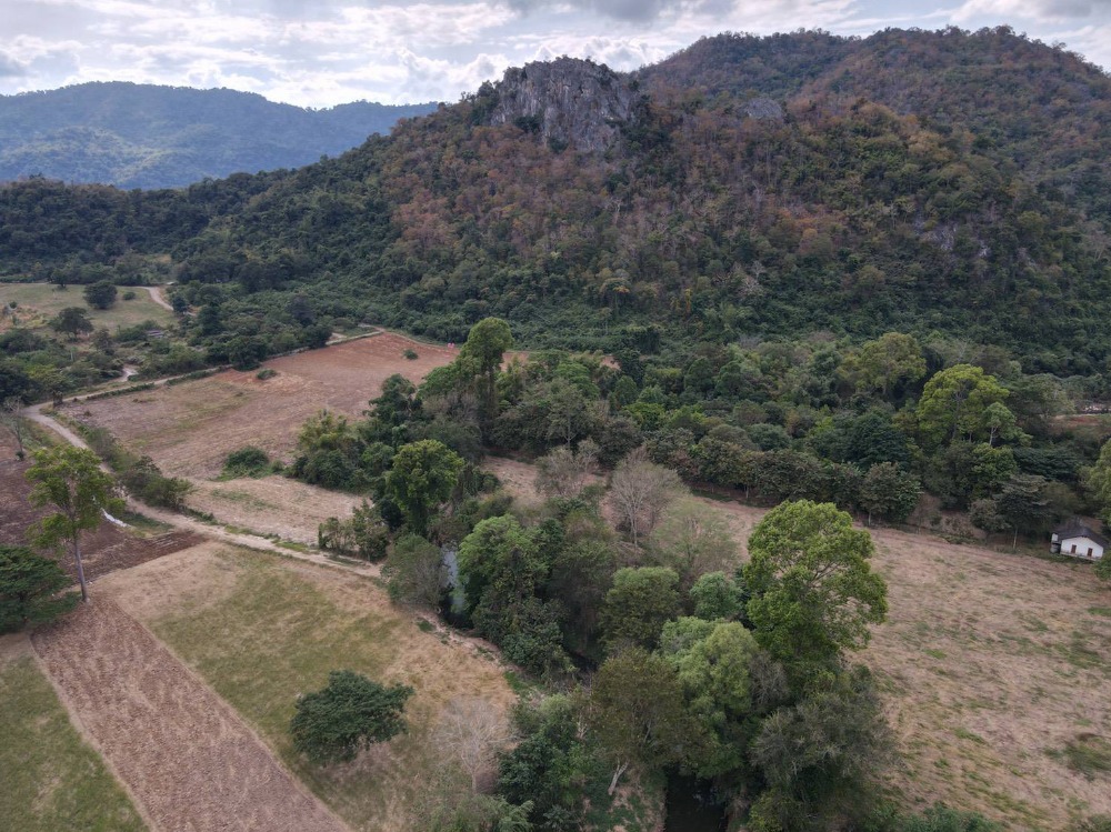 Urgent sale, land in Pak Chong, Nakhon Ratchasima Province, next to Lam Takhong, 200 meters from Thanarat Road, area 12-2-54, selling price 90 million baht, contact Khun Pui 089-9209893. Urgent sale, land in Pak Chong, Nakhon Ratchasima Province, next to Lam Takhong, 200 meters from Thanarat Road, area 12-2-54, selling price 90 million baht, contact Khun Pui 089-9209893.
