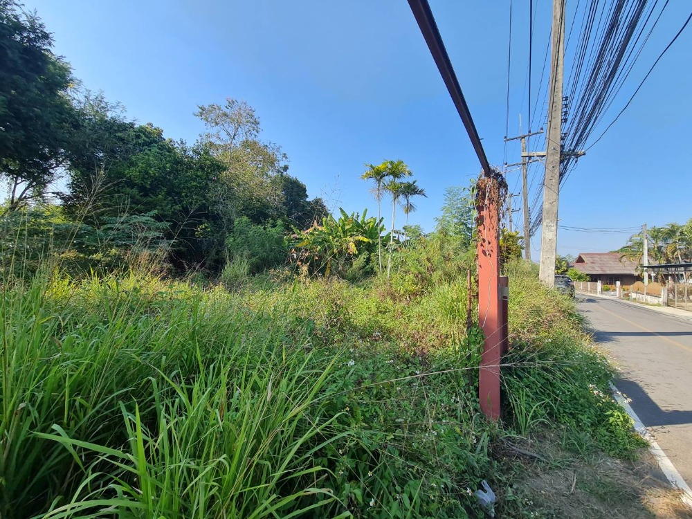 #ขายที่ดินแปลงสวย #ที่ดินเปล่าถมแล้ว เนื้อที่ 412 ตร.ว. #ซอยโรงเรียนบ้านหนองปลามัน #ตำบลห้วยทราย #อำเภอแม่ริม #เชียงใหม่ – รูปที่ 4