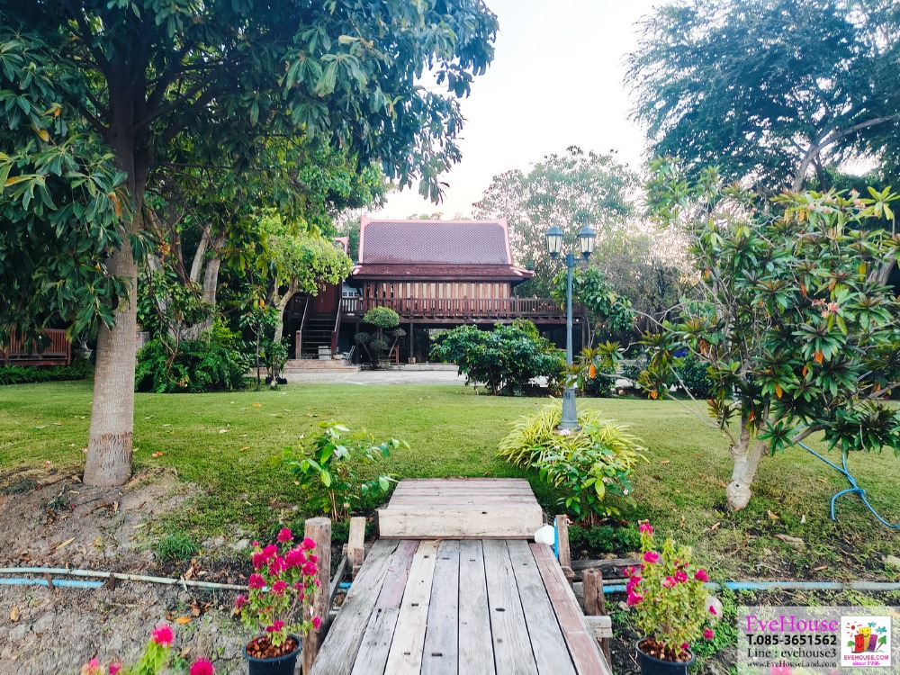 ขายที่ดินติดน้ำ 175 เมตร อยุธยา ขนาด 10.5 ไร่ อำเภอบางซ้าย จังหวัดพระนครศรีอยุธยา หน้าติดน้ำ – รูปที่ 3