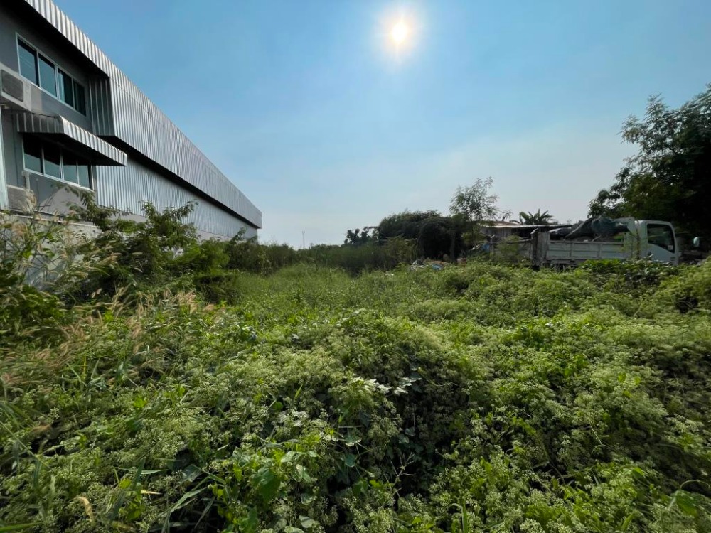 Land for sale, 266 sq wah, Soi Phatthana Community 4, in Soi Sridan 22, near Makro Srinakarin. Land for sale, 266 sq wah, Soi Phatthana Community 4, in Soi Sridan 22, near Makro Srinakarin.