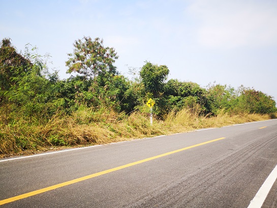 7.5 rai of land (logan garden) adjacent to the road in A. Pasang, C. Lampoon – รูปที่ 3