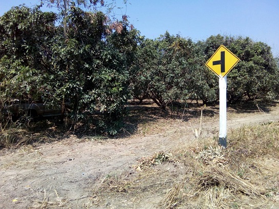 7.5 rai of land (logan garden) adjacent to the road in A. Pasang, C. Lampoon