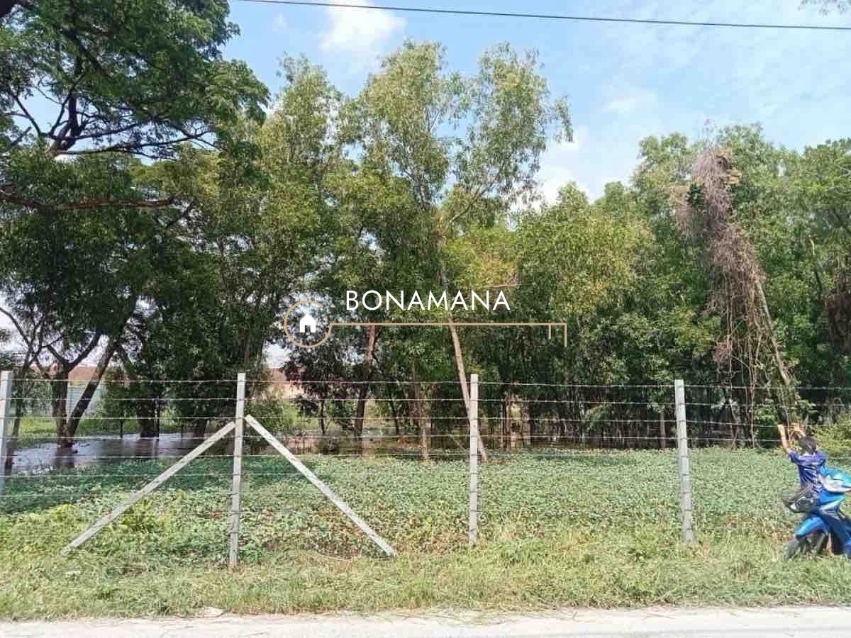 Land for rent, 4 rai, Rangsit, Khlong 3 (Khlong Luang District) Land for rent, 4 rai, Rangsit, Khlong 3 (Khlong Luang District)
