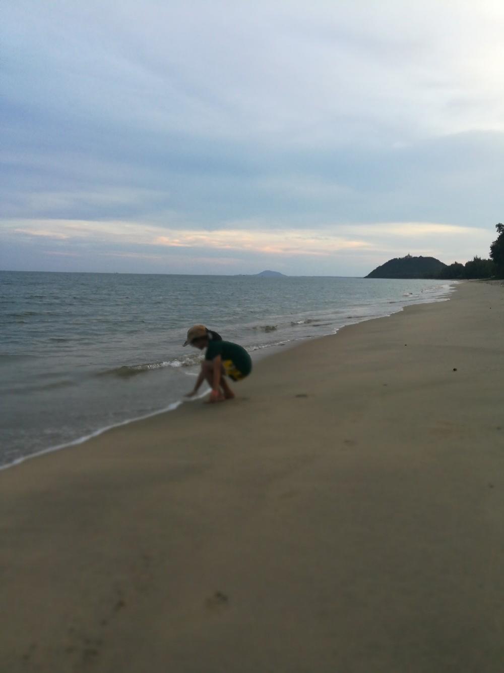 #ขายที่ชายทะเล #ราคาถูก#บ้านกรูด บางสะพาน ประจวบห่างชายหาด870 เมตร มีถนนดำผ่านหน้าที่ ตรงดิ่งไปถนนเลียบชายหาด พื้นที่เป็นสวนมะพร้าว ติดที่รถไฟ มีถนนเกือกม้าข้ามทางรถไฟหน้าที่ดินขนาด 8-3-93ไร่เหมาะทำบ้านพักตากอากาศ หรือคอนโดบริเวณใกล้เคียงมีรีสอร์ทแยะ