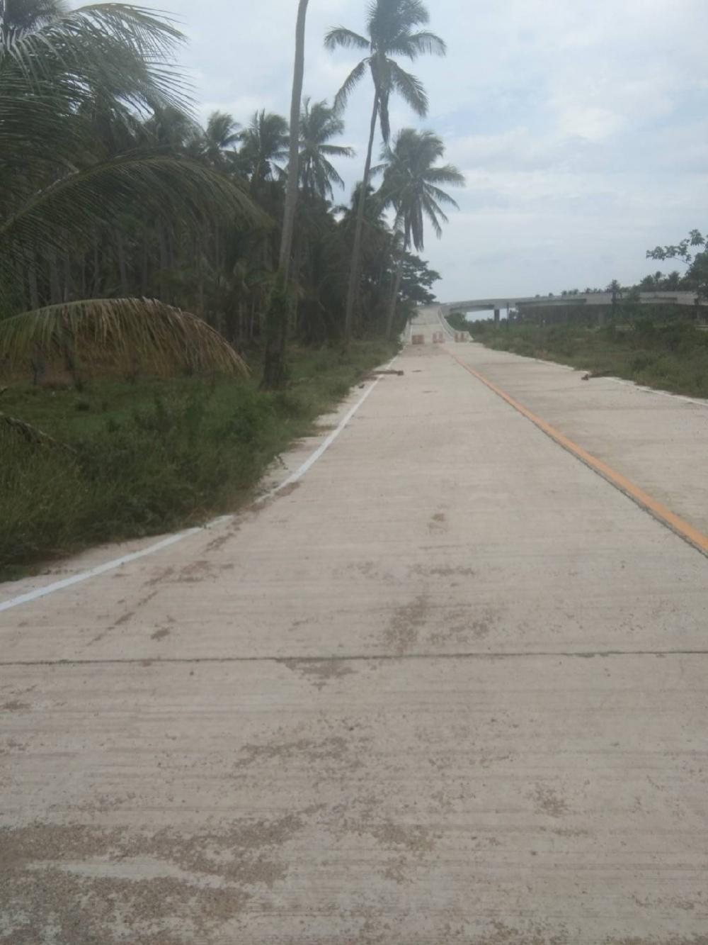 #ขายที่ชายทะเล #ราคาถูก#บ้านกรูด บางสะพาน ประจวบห่างชายหาด870 เมตร มีถนนดำผ่านหน้าที่ ตรงดิ่งไปถนนเลียบชายหาด พื้นที่เป็นสวนมะพร้าว ติดที่รถไฟ มีถนนเกือกม้าข้ามทางรถไฟหน้าที่ดินขนาด 8-3-93ไร่เหมาะทำบ้านพักตากอากาศ หรือคอนโดบริเวณใกล้เคียงมีรีสอร์ทแยะ – รูปที่ 4
